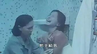 国产女同调教,探索情感与成长的独特旅程