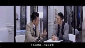 国产gay,多元文化的探索与呈现